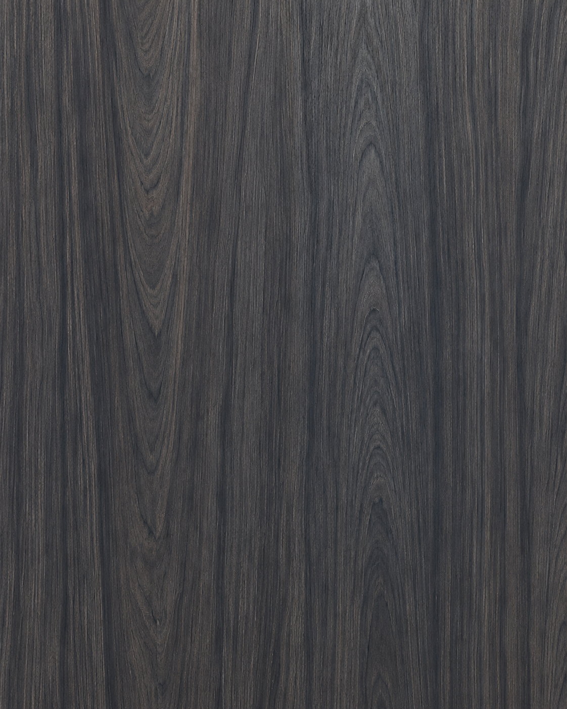 Ébano Catedral