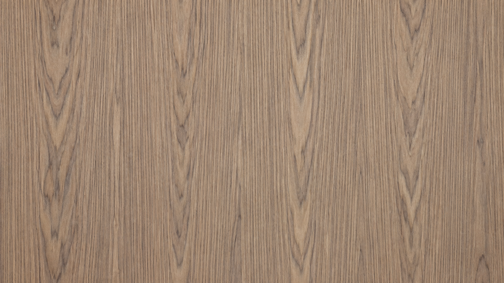 Walnut Catedral