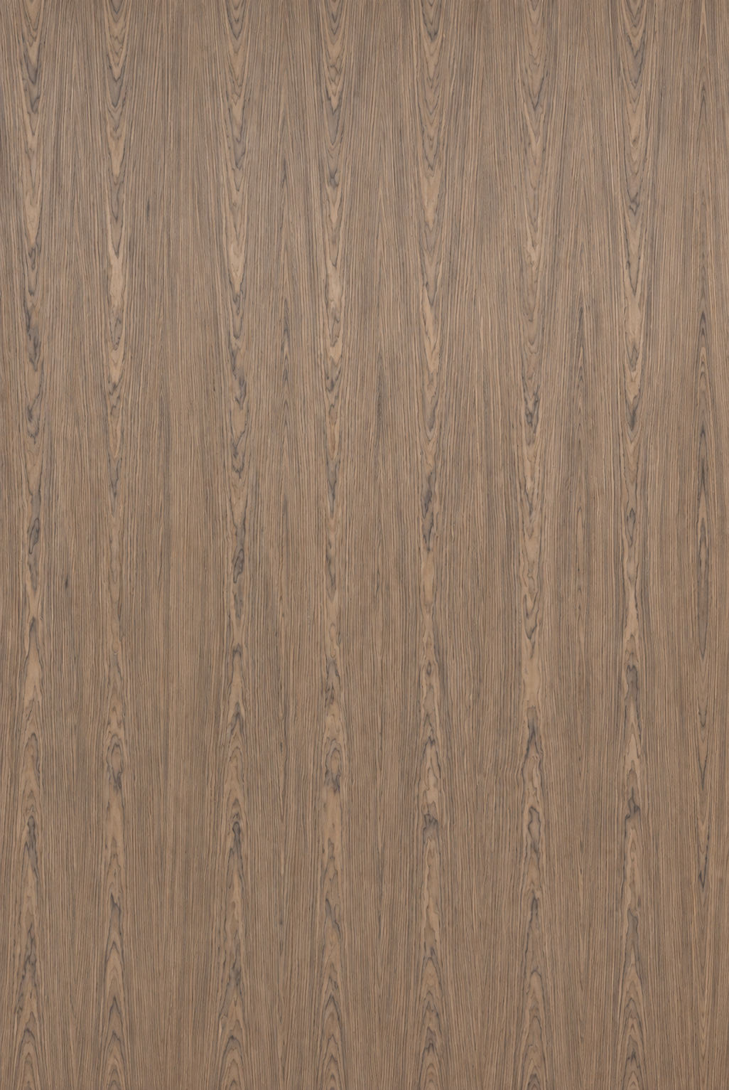 Walnut Catedral