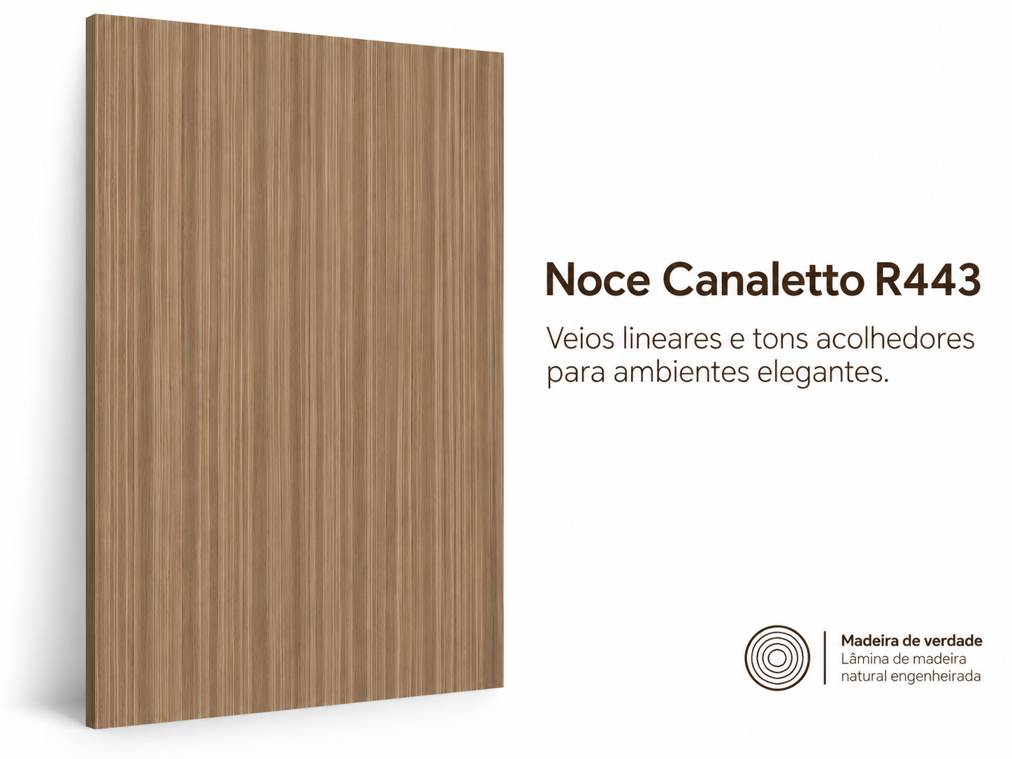 Noce Canaletto